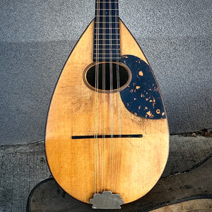 1934 Martin Bowl Back Mandolin w/Case