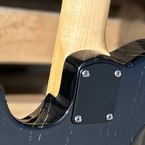 2025 Paul Reed Smith SE NF 53 Black Doghair w/Bag