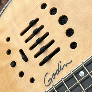 Used Godin Multiac Steel w/Tric Case