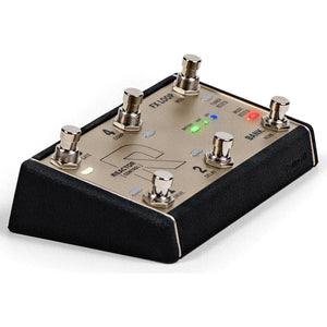 Positive Grid REACTOR Control