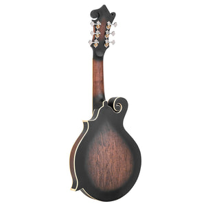 Gold Tone F-6 6-String F-Style Mando-Guitar with Pickup and Case