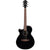 Ibanez AEG50 Black High Gloss Acoustic Electric Left Handed