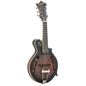 Gold Tone F-6 6-String F-Style Mando-Guitar with Pickup and Case