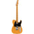 Fender Player Plus Telecaster Maple Fingerboard Butterscotch Blonde