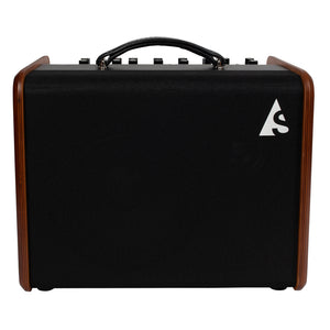 Godin Acoustic Solutions ASG-8 Wood 120 Acoustic Amplifier w/Bag