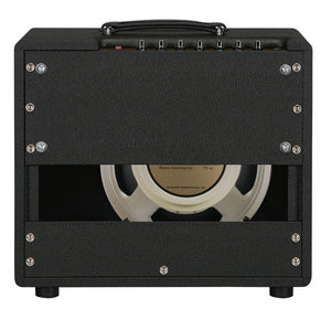 Friedman Runt 20 Combo