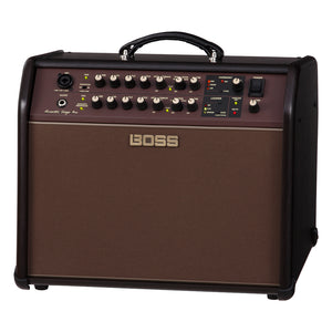Boss Acoustic Singer Pro