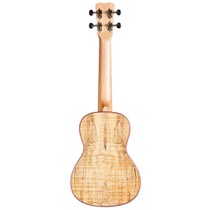 Cordoba 24C Concert Ukulele