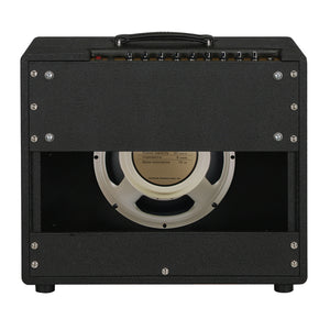 Friedman Runt 50 Combo