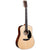 Martin D-12E Sitka/Sapele Acoustic Electric Guitar