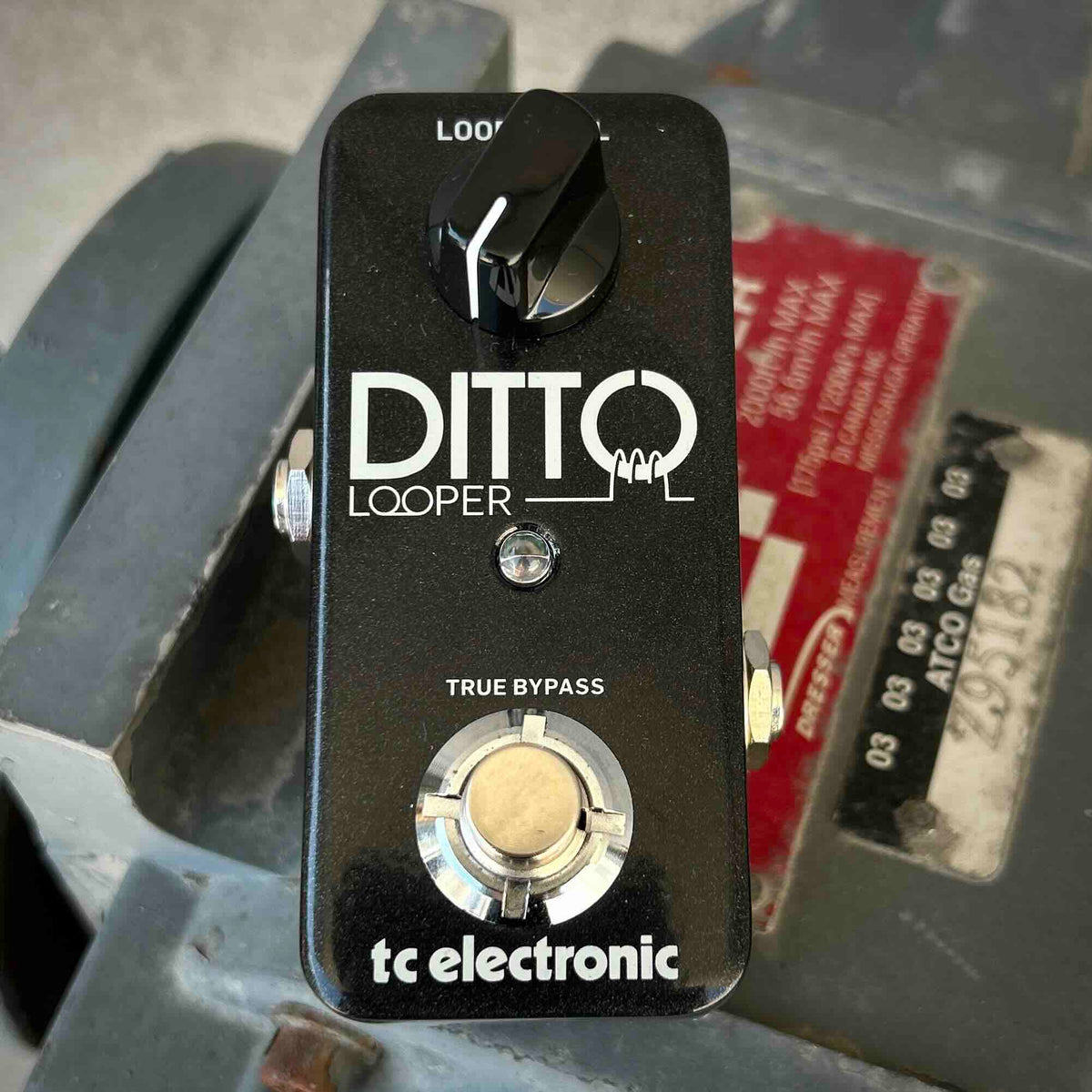 USED TC Electronics Ditto Looper