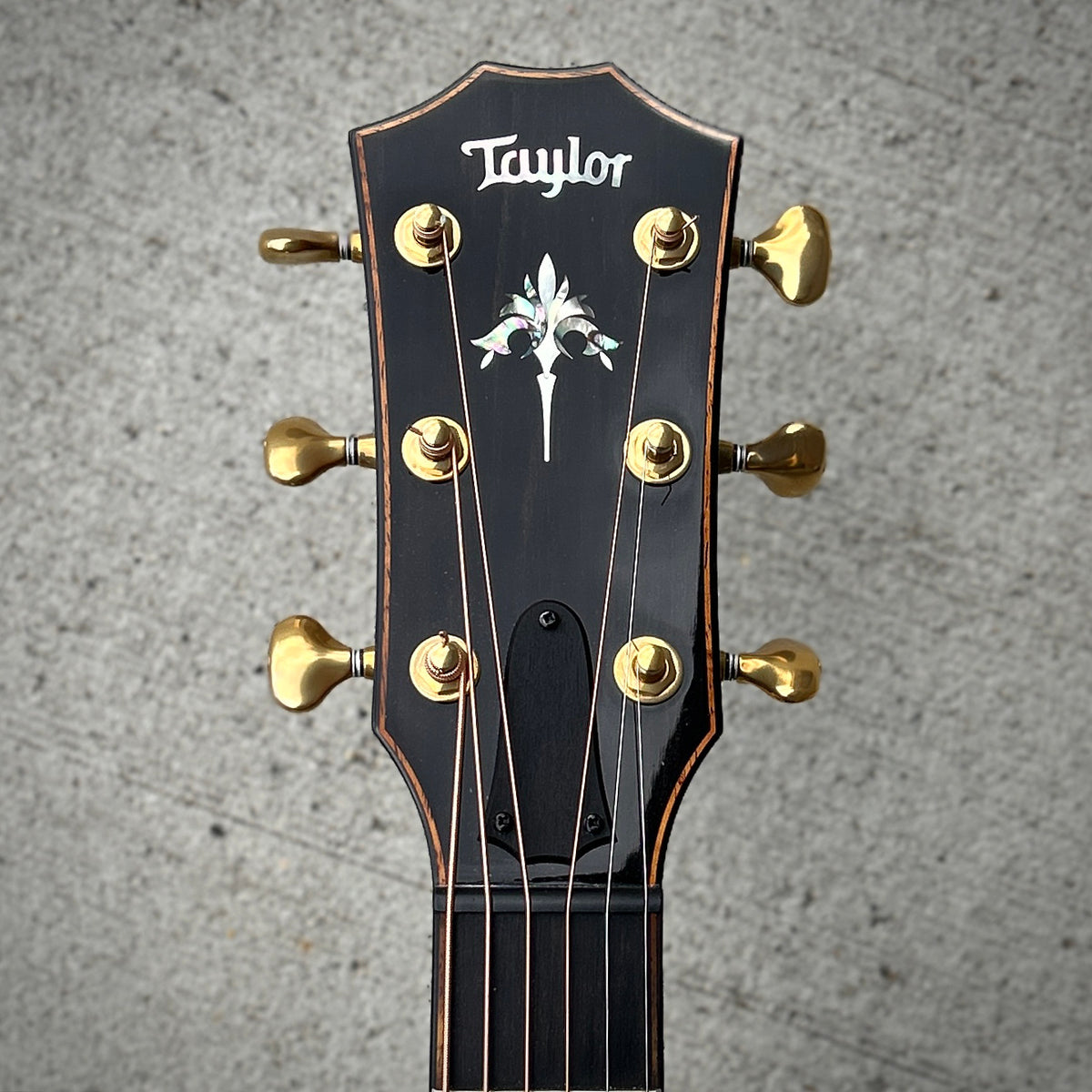 2021 Taylor 912ce V-Class Engelmann Spruce/Indian Rosewood w/Case
