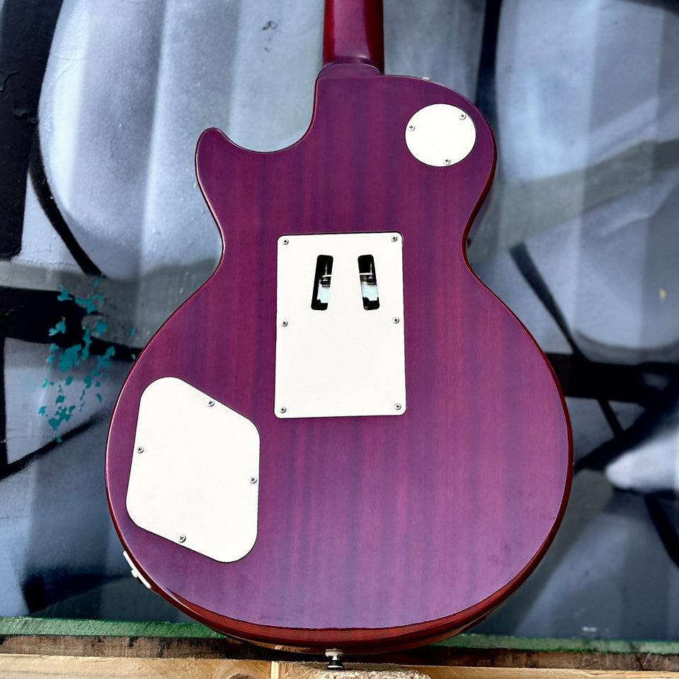 2010 Epiphone Les Paul Standard Plus Top PRO/FX w/Bag - Guitarworks