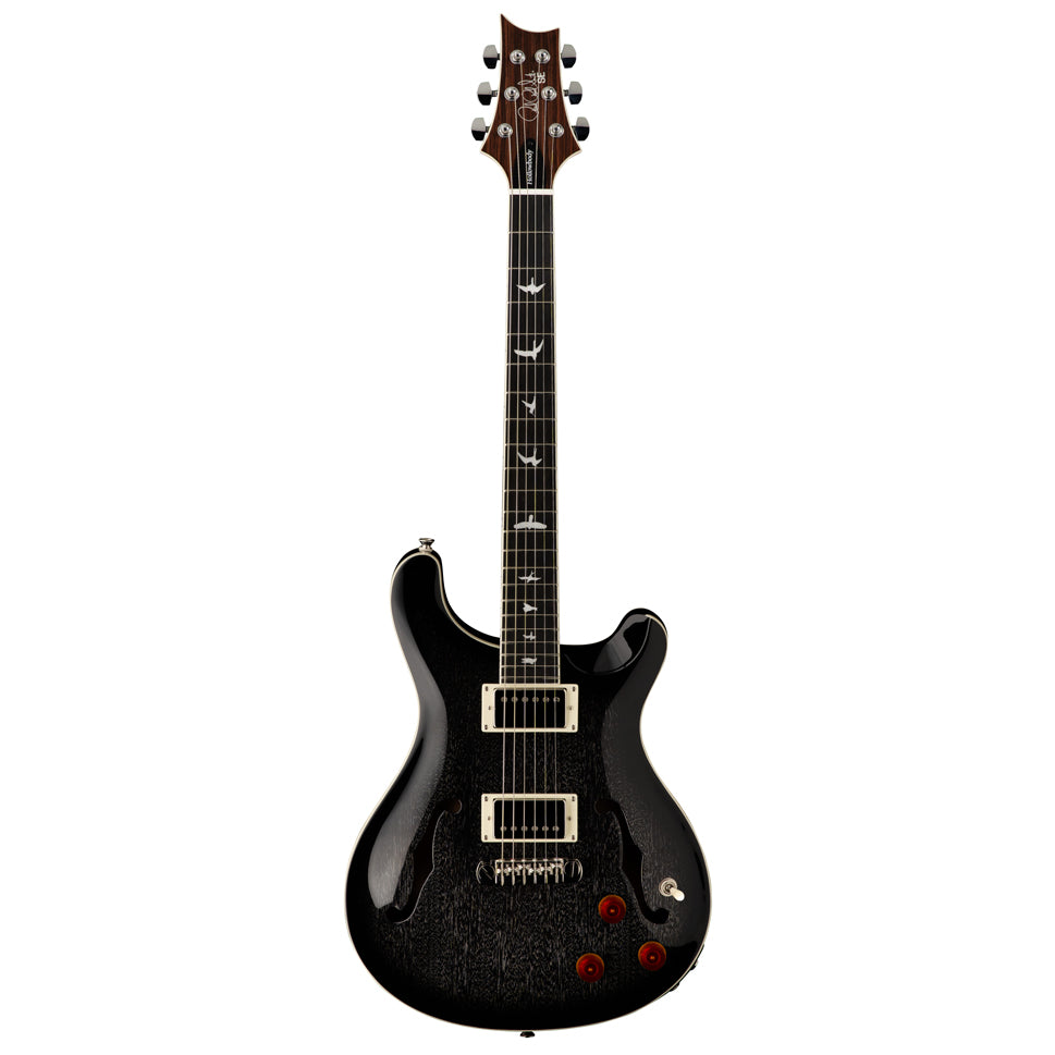 Paul Reed Smith (PRS) SE Hollowbody Standard Piezo Dog Hair