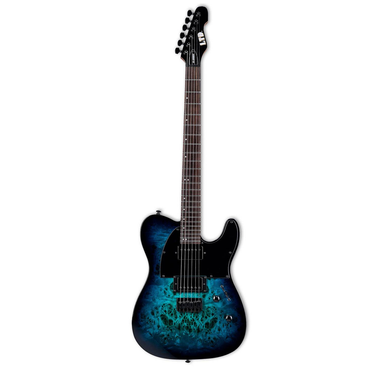 ESP LTD  LTE200DXBLB TE-200DX Series Single Cutaway 6 String RH Electric Guitar - Blue Burst