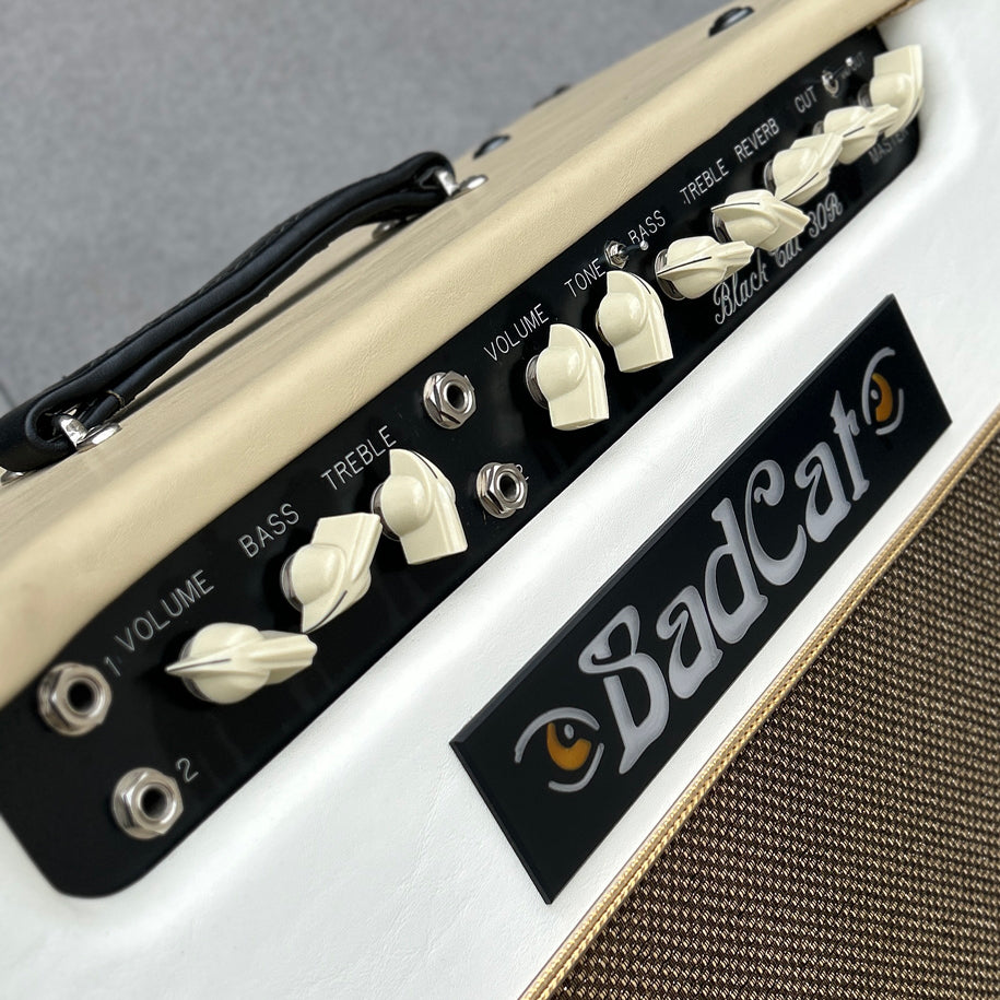 Used Bad Cat Black Cat 30R Handwired 2x12 Combo w/Road Case