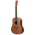 Martin D-X1E Koa Left Handed w/Soft Case