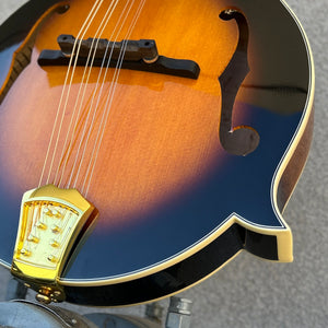 USED Goldtone GM-70 Mandolin Sunburst