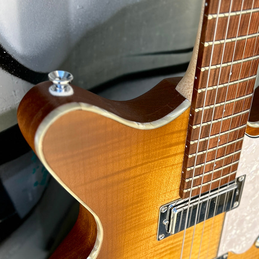 Used DJW Custom Guitars "BM" Special w/Bag