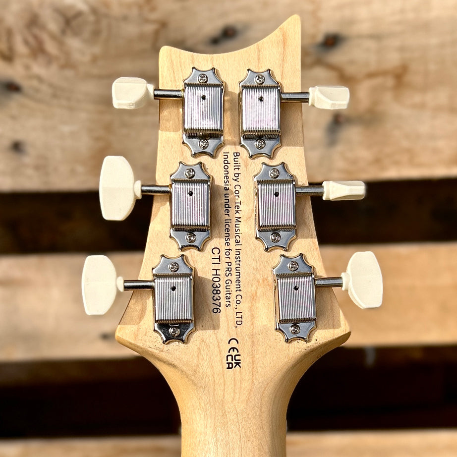 2025 Paul Reed Smith SE NF 53 Black Doghair w/Bag