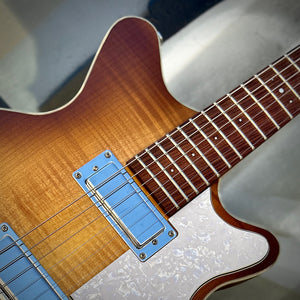 Used DJW Custom Guitars "BM" Special w/Bag