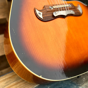 1974 Framus Texan 5/296 12 String Dreadnaught