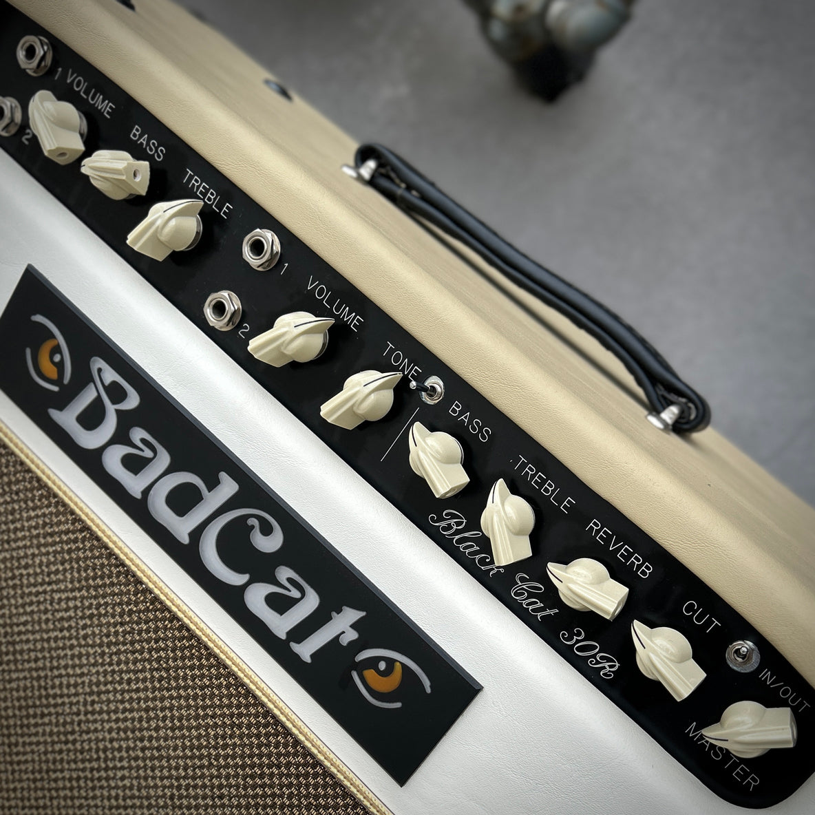 Used Bad Cat Black Cat 30R Handwired 2x12 Combo w/Road Case