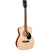 Cort Folk Acoustic Guitar Open Pore AF510-OP