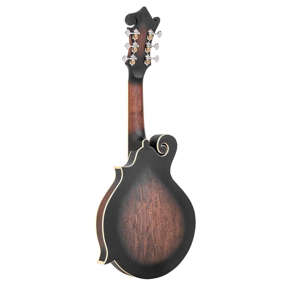 Gold Tone F-6 6-String F-Style Mando-Guitar with Pickup and Case