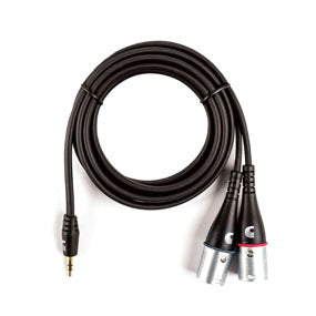 D'Addario Custom Series 1/8'' to Dual XLR Audio Cables PW-MPXLR-06