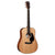 Martin D-10E Sitka/Sapele Acoustic Electric Guitar