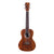 Cordoba 15CB Bocote Concert Ukulele