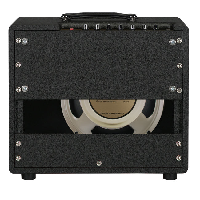 Friedman Runt 20 Combo