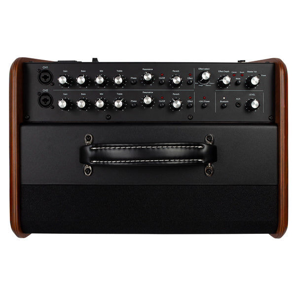 Godin Acoustic Solutions ASG-8 Wood 120 Acoustic Amplifier w/Bag