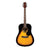 Beaver Creek 101 Series Acoustic Guitar Vintage Sunburst w/Bag BCTD101VSB