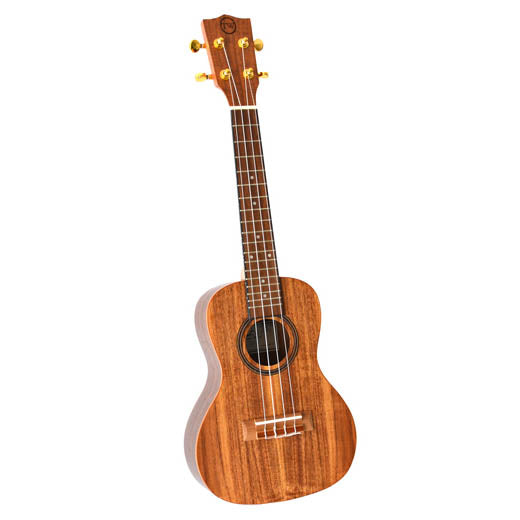 Twisted Wood Aurora Tenor Ukulele AR-800T w/Bag