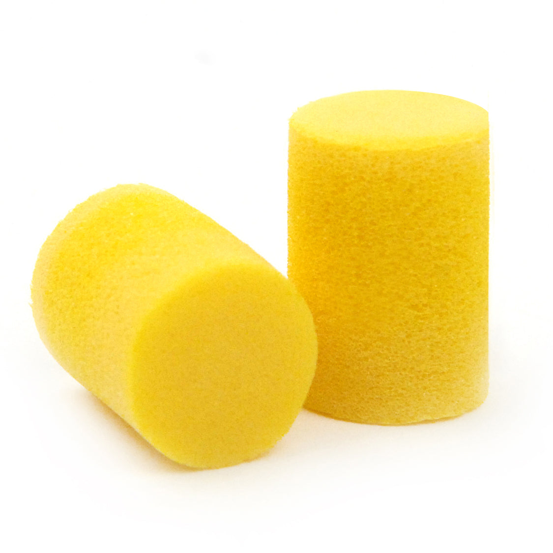 D'Addario Foam Ear Plugs Pair