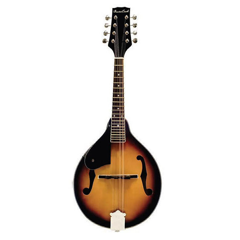 Beaver Creek Mandolin Left Handed w/Bag BCMM201L