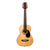 Beaver Creek 401 Series Acoustic Guitar 1/2 Size Natural w/Bag BCTD401