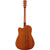 Fender CD-60SCE Dreadnought All Mahogany