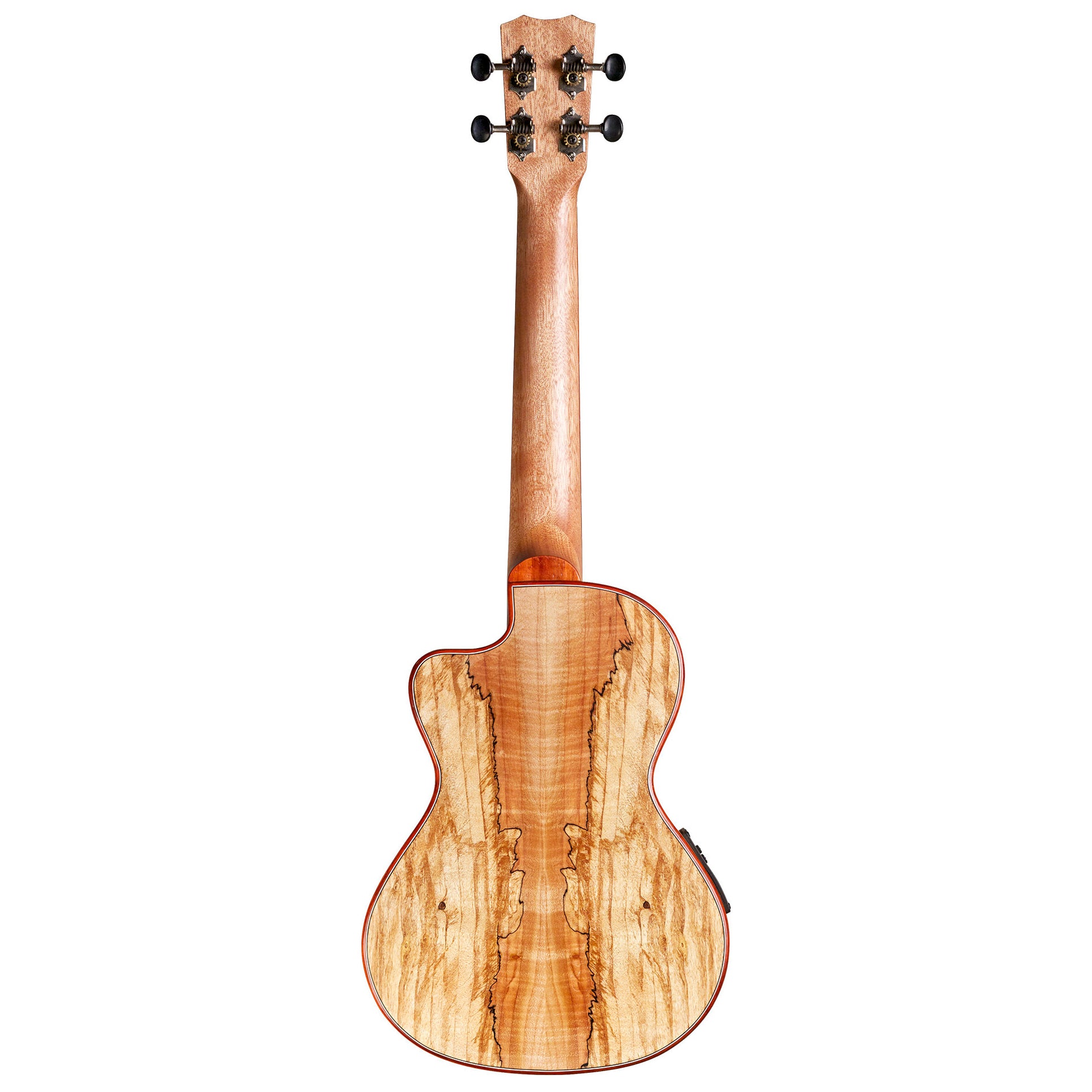 Cordoba 24T-CE Tenor Ukulele