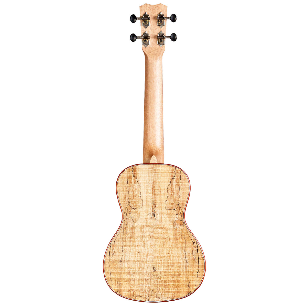 Cordoba 24C Concert Ukulele