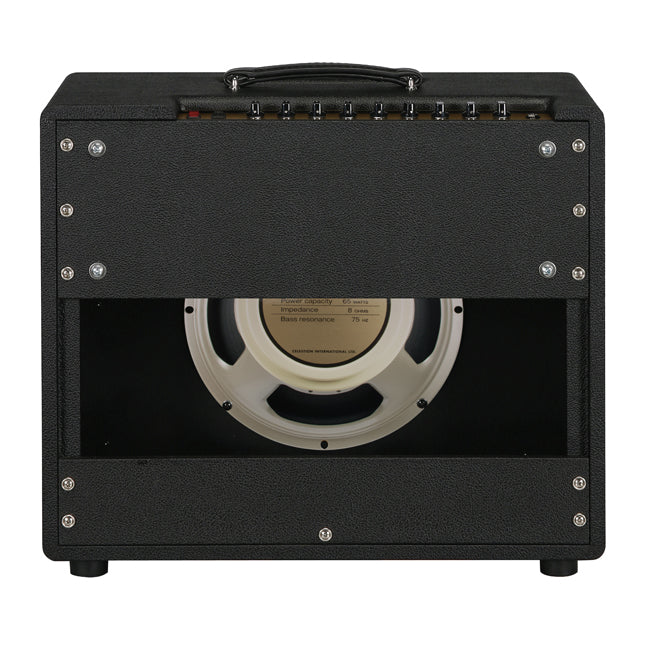 Friedman Runt 50 Combo