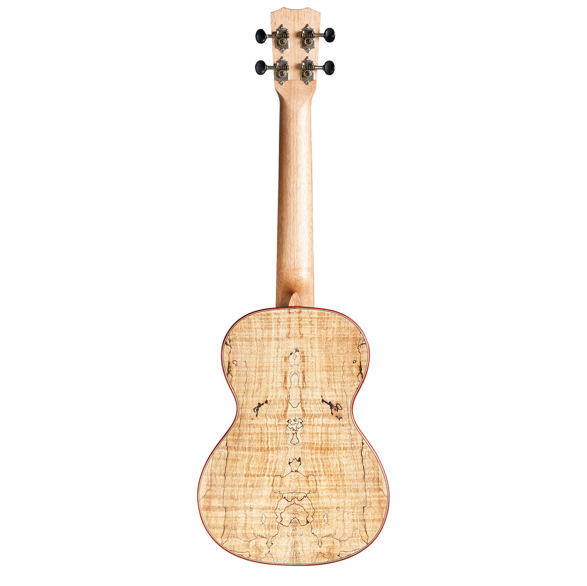 Cordoba 24T Tenor Ukulele