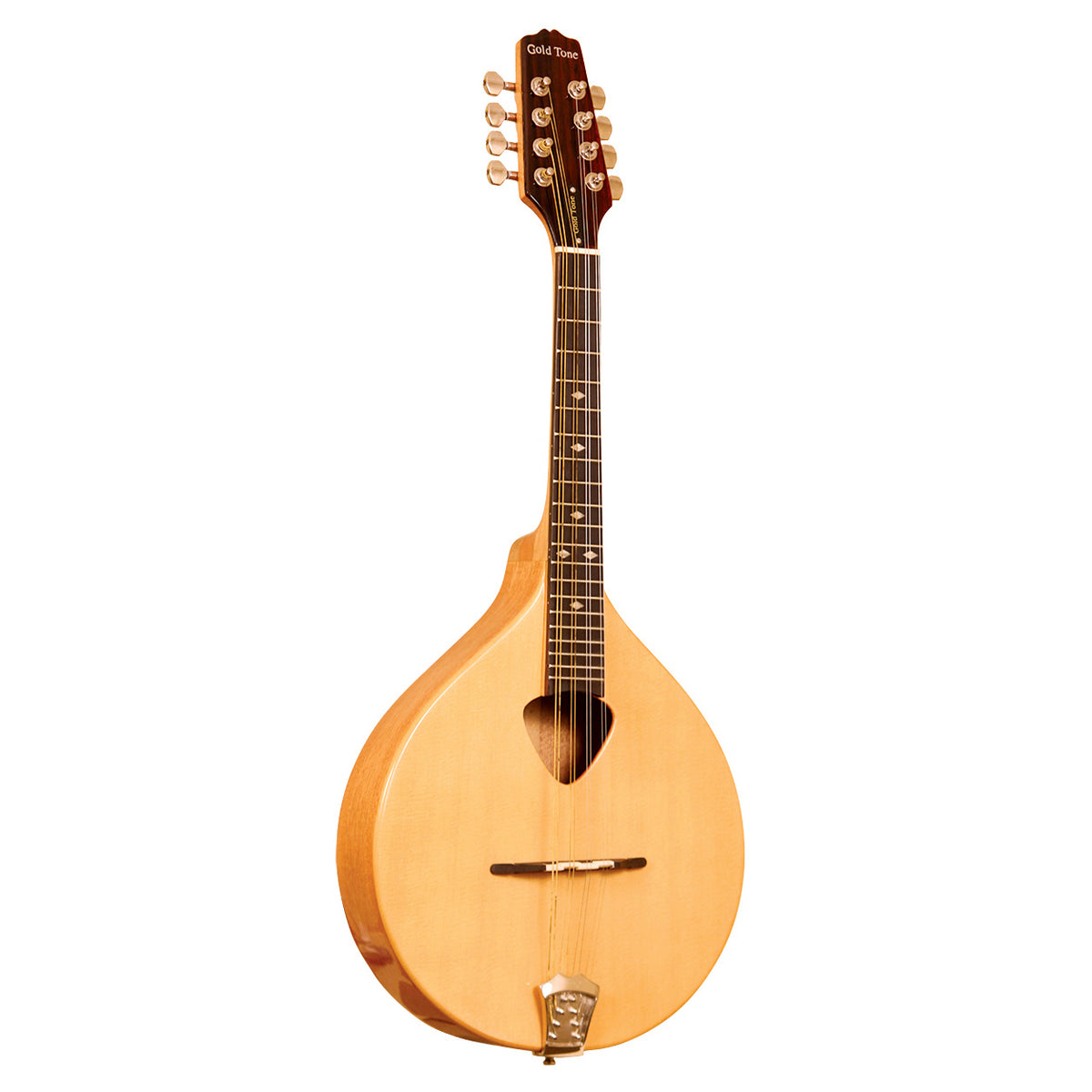 Gold Tone Mandola w/ Case