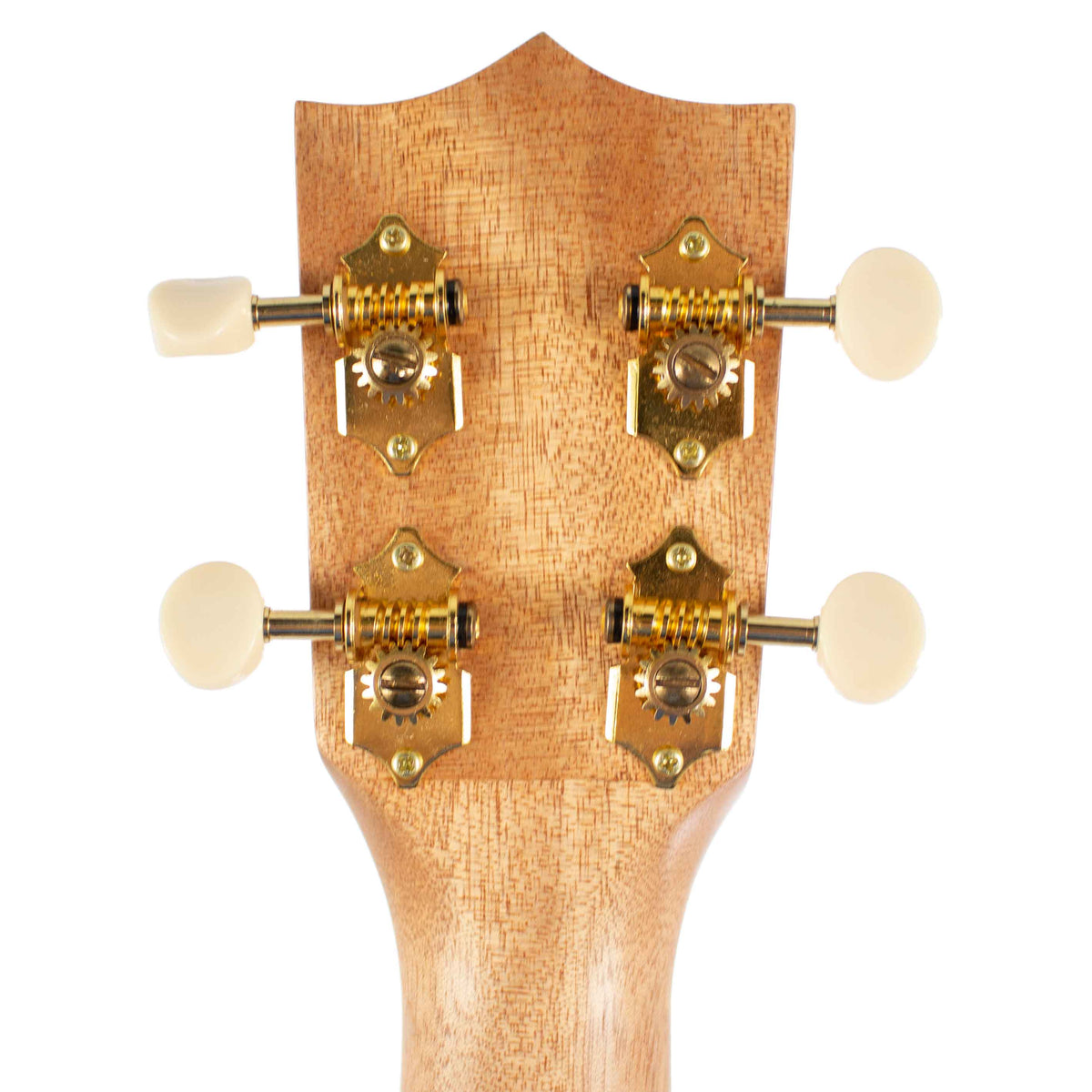 Honolua Ukuleles Mano Concert w/EQ Ukulele MA-21E w/Bag