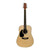 Beaver Creek 101 Series Acoustic Guitar Natural Left Handed w/Bag BCTD101L