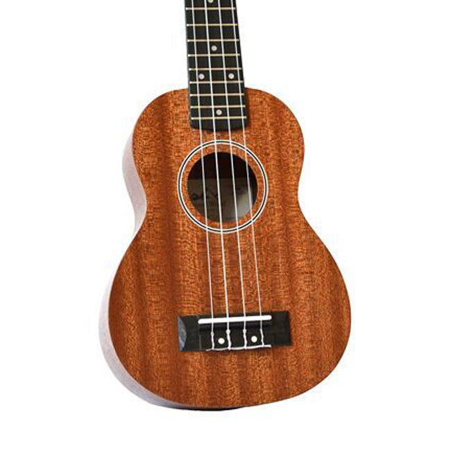Twisted Wood Pioneer Concert PI-100C w/bag